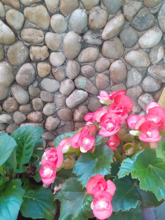 פראיה דה מויטס Pousada Recanto Das Flores מראה חיצוני תמונה